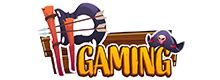 ppgaming .